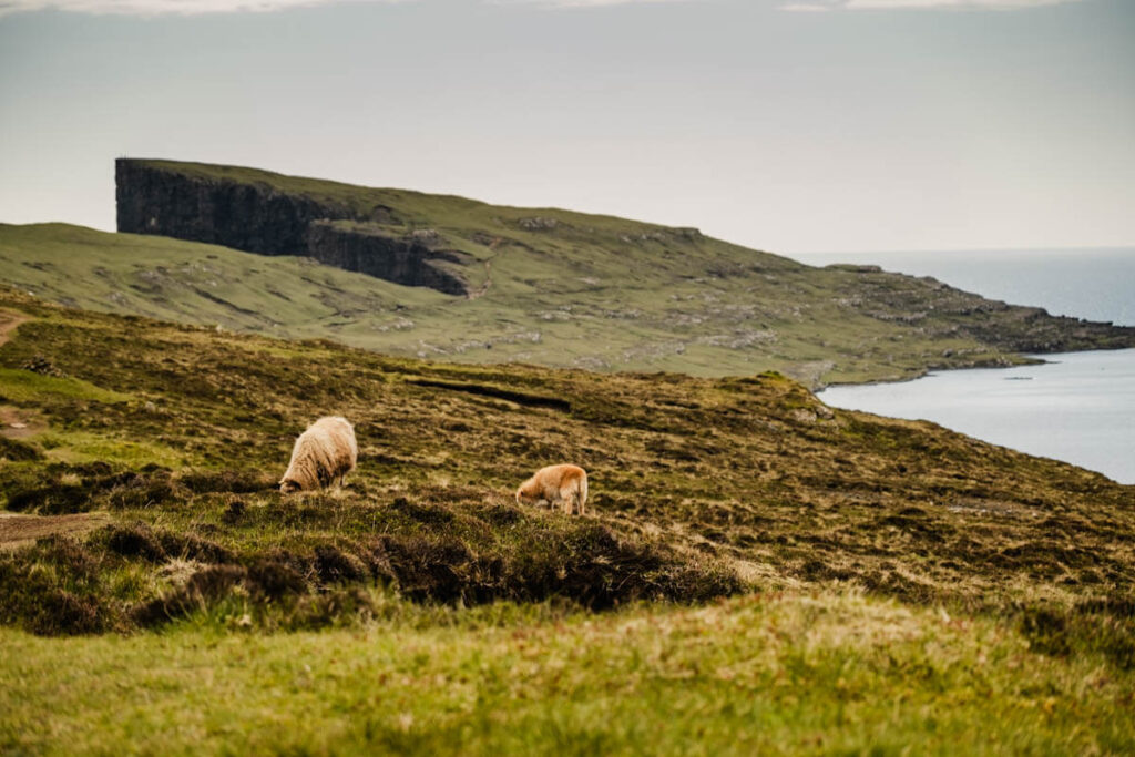 Leitisvatn op Vagar Faeroer eilanden Reislegende