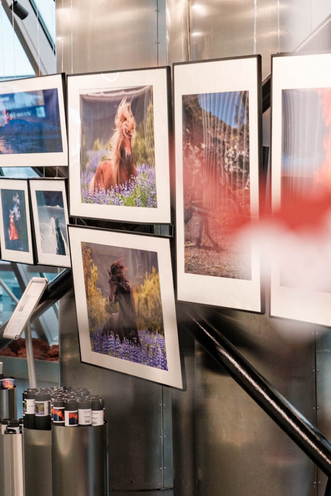 Perlan museum winkel Reykjavik Reislegende