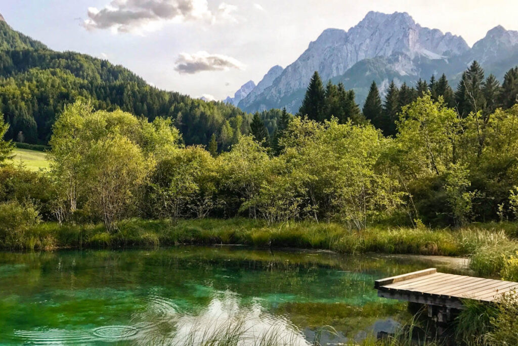 Zelenci bron van Sava Dolinka Slovenie Reislegende