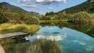 Zelenci bron van Sava rivier Slovenie Reislegende