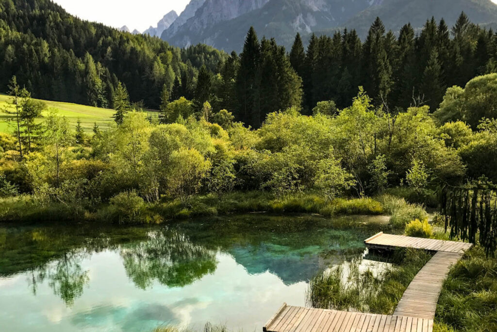 Zelenci natuurreservaat Slovenie Reislegende